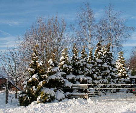 Een winterse Kerstmis