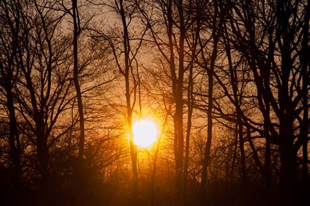 Een winterse zonsondergang
