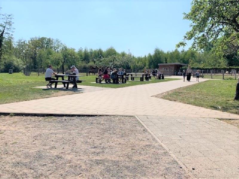 Een zonnige zondag zonder zorgen op Bovy