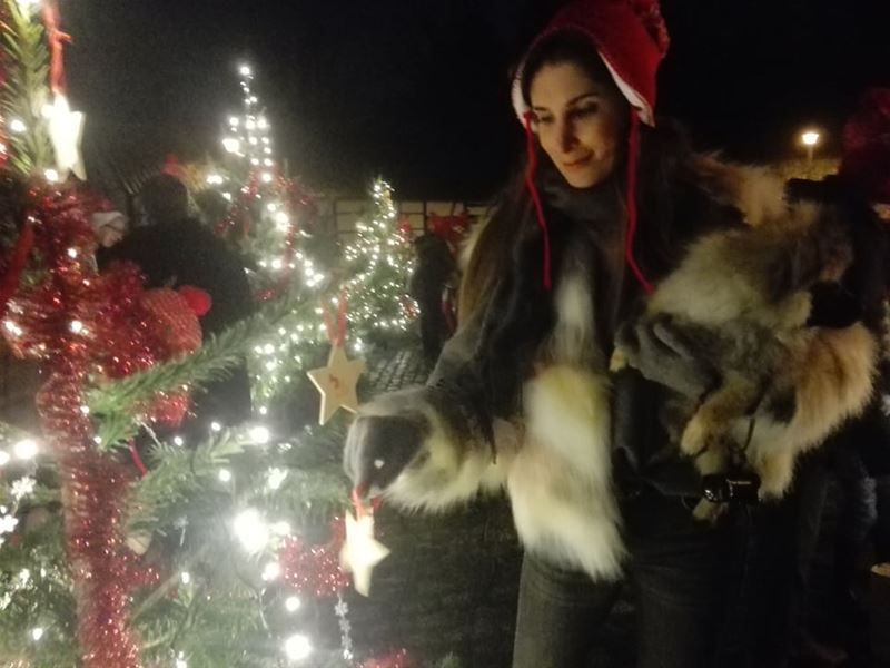 Eindejaarsfilmpje is ingeblikt