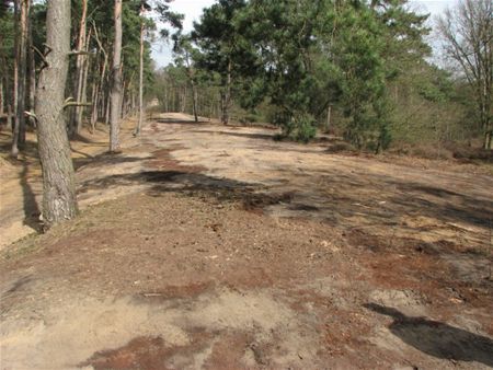 En nu wachten op het heideherstel