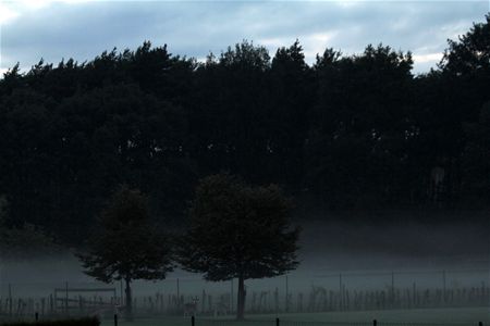 En toch is het midzomernacht