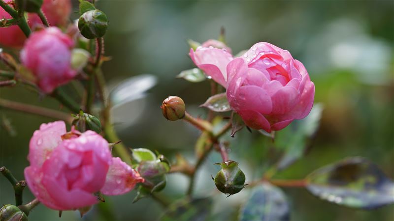 Er mag ook wat kleur zijn