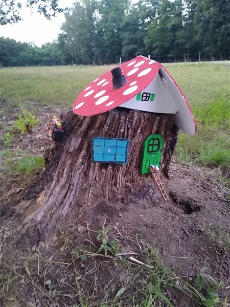 Er wonen dus toch kabouters in het bos