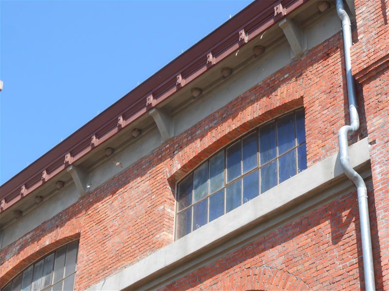 Er wonen weer veel zwaluwen aan de put