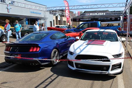 Exclusieve Mustangs uit de States overgevlogen