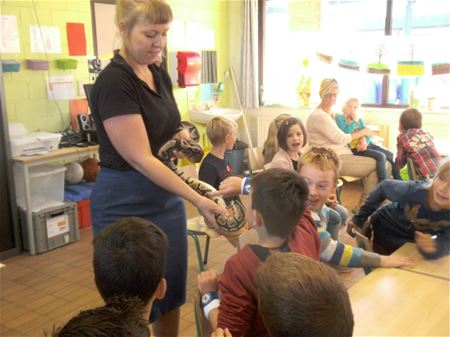 Exotische dieren uit zoo in Springplank