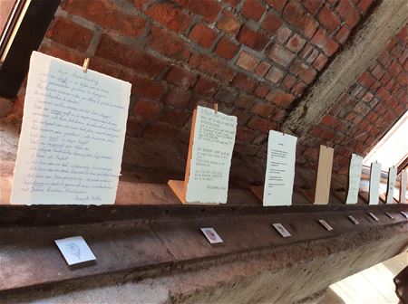 Expo 'Koppen' is bijna klaar