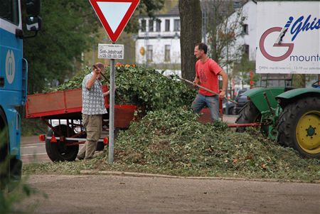 Extra groenophaling en containers voor Bolderberg