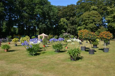 Fuchsiaflora 2016 op weg naar succesedtiie