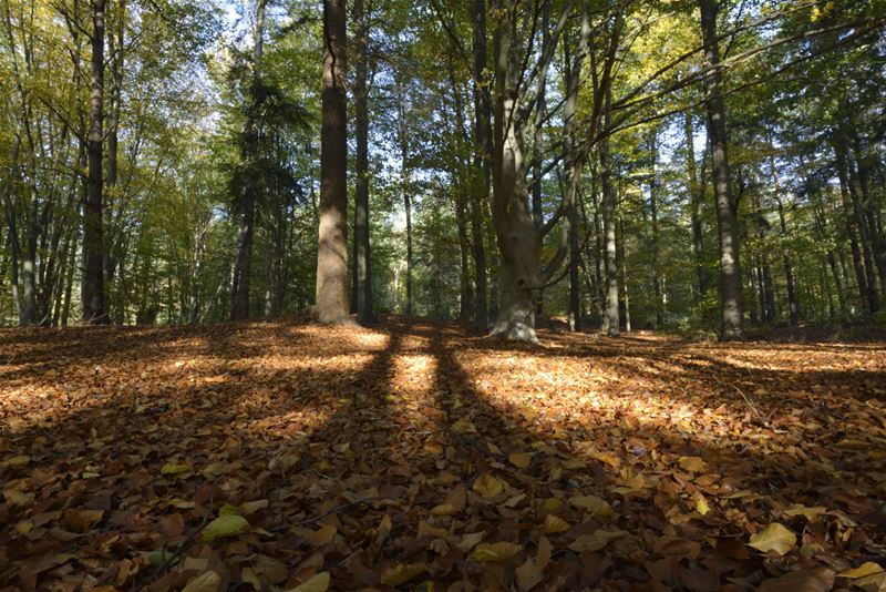 Galgenberg is ook de moeite