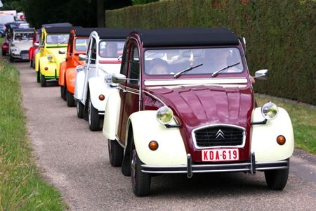 Geitjes en eendjes overspoelen Heusden