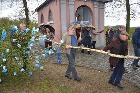 Gemeente verdeelt geen meibomen