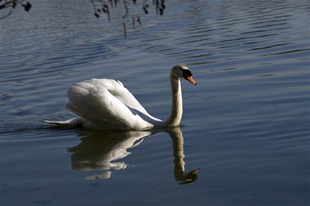 Genieten van de prille lente