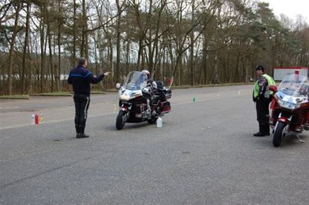 Goldwings testen behendigheid