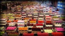 Gratis film over de bloemenindustrie