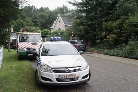 Grote drugsplantage opgedoekt op Sterrenwacht