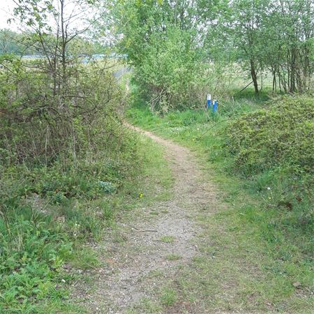 Het Heksenpoaike tussen Hal en Koersel