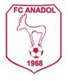 Het nieuwe voetbalseizoen: FC Anadol