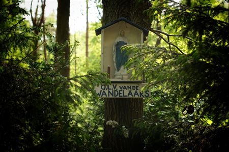 Het OLV-kapelletje op Lindeman (vervolg)