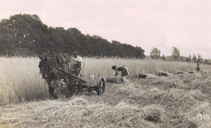 Het oude boerenleven in Heusden (7)