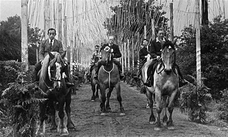 Heusdense stoeten (8)