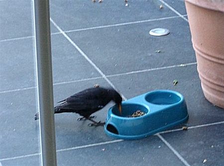 Iedereen moet tenslotte eten