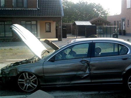 Jaguar tolt door weide