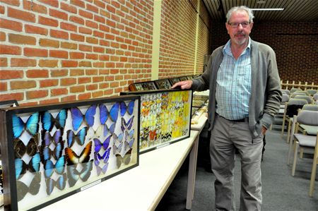 Jos Willems toont vlinders en kevers