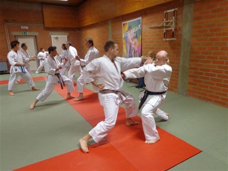 Jules Swinnen: karateka van 70 jaar