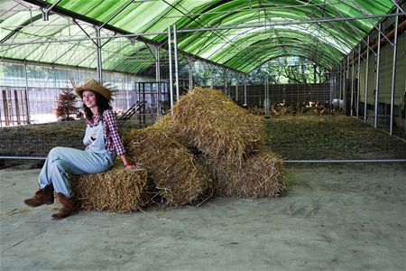 Kakelverse bio-eieren