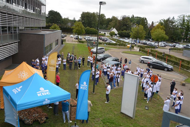 KBC schenkt 1.000 KOTK-azalea's aan SFZ-personeel