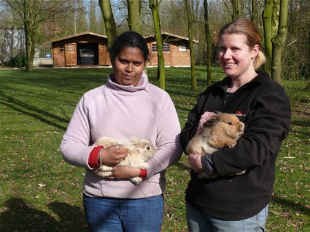 Kerkhofterroristen zijn opgepakt
