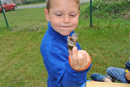 Kinderen ontdekken slakken op school