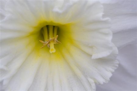 Kleurcontrasten rond Pasen (2)