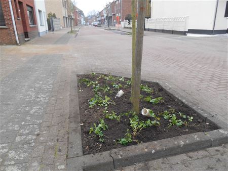 Kleuterweg is weer wat groen