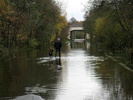 Laambroekstraat staat blank