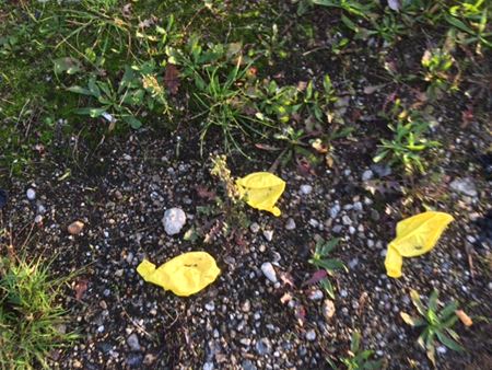 Lachgas is meer verslavend dan gedacht