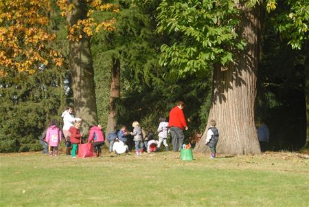 Leerlingen op verkenning in het bos