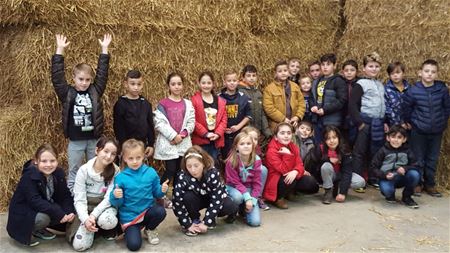 Leerlingen tussen boerderijdieren