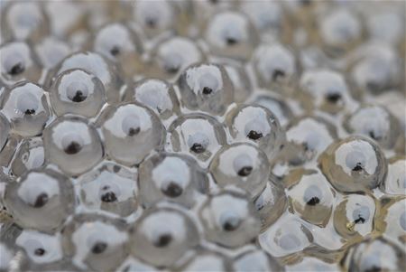 Lente op alle fronten