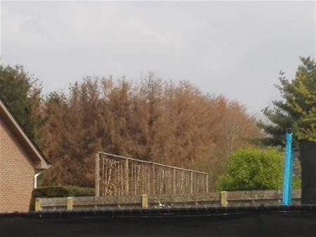 Letterzetter teistert ook Eversel