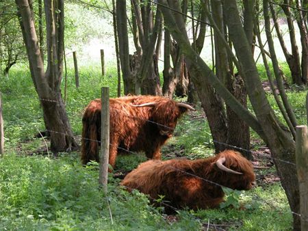 Limburgs Landschap heeft nieuwe website