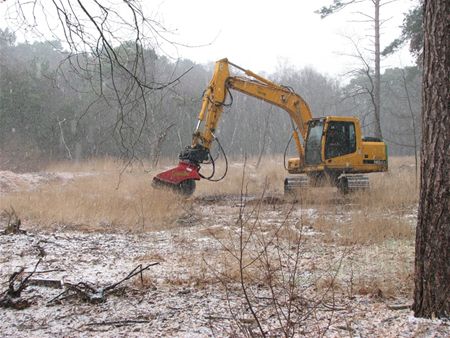 Limburgs Landschap herstelt natuur in Bolderberg