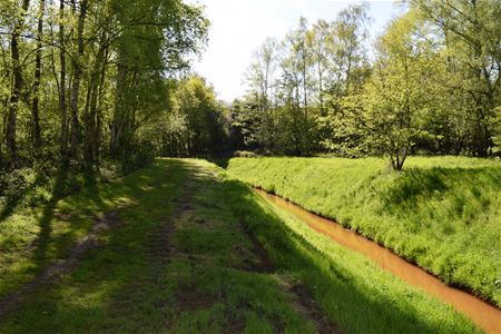Loopparcours is grotendeels droog
