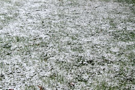 Maart roert zijn staart