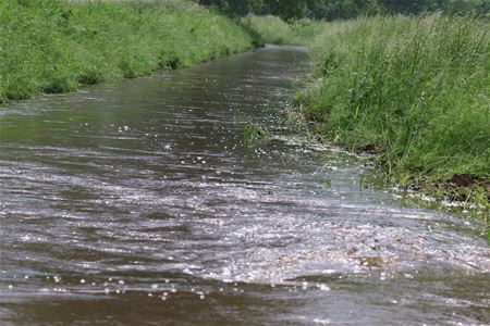 Mangelbeek staat overvol