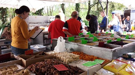 Massale controle van politie en inspectiediensten