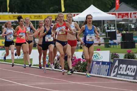 Nacht: het voorprogramma in volle zon