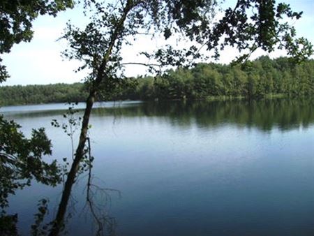Natuurorganisaties in het verzet rond Groene Delle